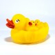 Pata con patitos flotadores
